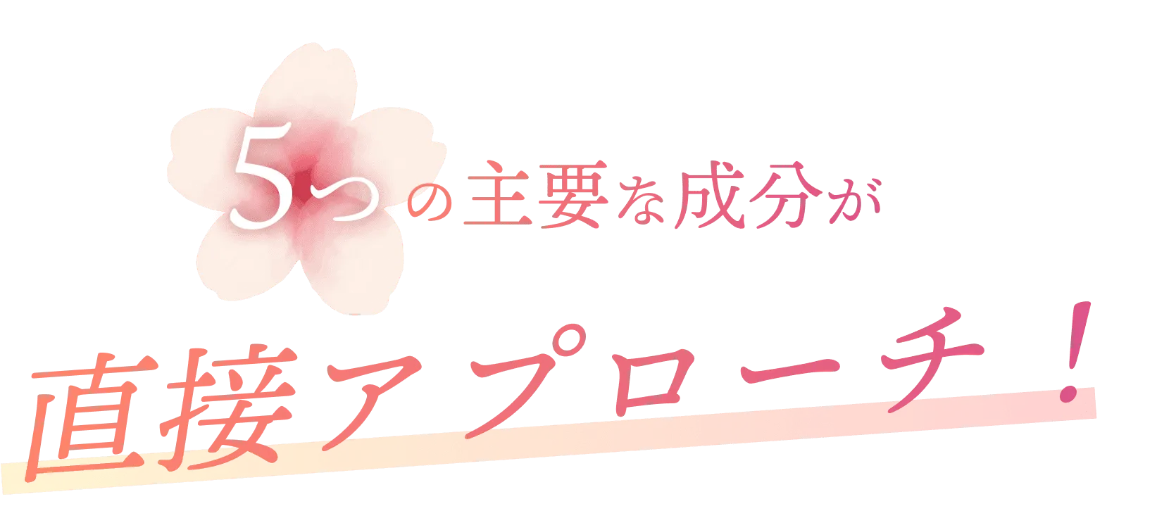 5つの主要な成分が直接アプローチ！